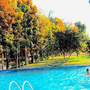 Chitwan Forest Resort , Chitwan National Park